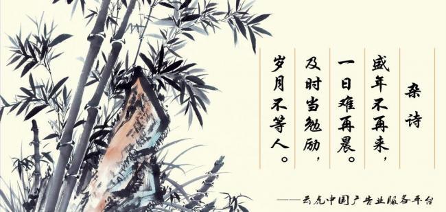 辦公室風(fēng)水?dāng)[件，助你事業(yè)風(fēng)生水起